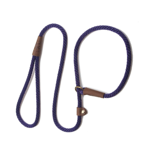 Pet Slip Leash - Dog Lead and Collar Combo - 3/8" X 4' - Image 3